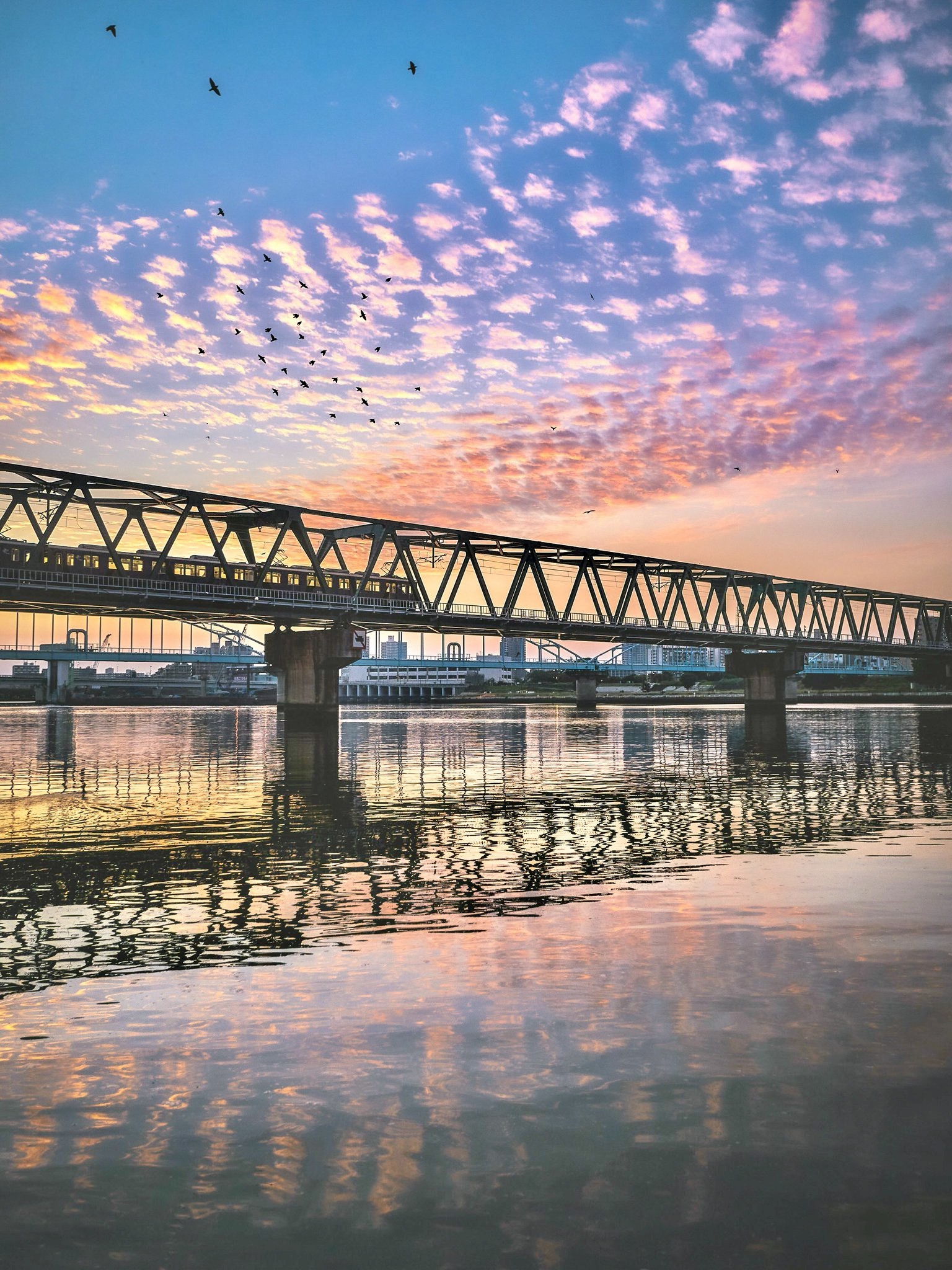 Banner image of the blog